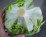 これで長持ち♪レタスの保存方法作り方1写真