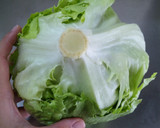 これで長持ち♪レタスの保存方法作り方1写真