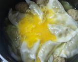鶏肉団子と餃子の鍋作り方4写真