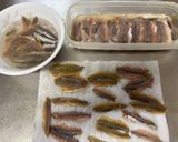 横浜発♡小鰯で自家製アンチョビと魚醤作り方4写真