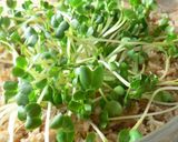 ♬　レンジで蓮根とえのきの鶏バーグ　♬作り方8写真