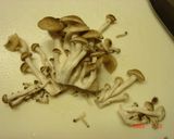 牛肉と生あげの炒め煮★夏仕様作り方3写真