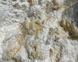 カリカリ食感　チョコチップクッキー作り方4写真