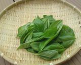 菜園採れのジェノベーゼ（バジルペースト）作り方1写真