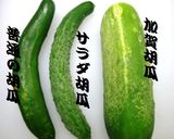 夏☆加賀太きゅうり『もずく酢CUP冷汁』✿そうめん作り方9写真