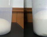 国産小麦粉のもっちり丸パン♪(手捏ね)作り方6写真