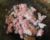 20分で本格中華:簡単麻婆豆腐作り方2写真
