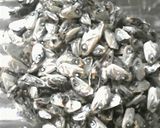 煮干し出汁でお味噌汁♪作り方2写真