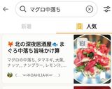 🦊北の深夜居酒屋🐟️まぐろ中落ち旨味かけ算作り方7写真