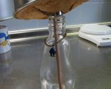 アイス飲料の原液でお手軽～ミニシフォン♪作り方15写真