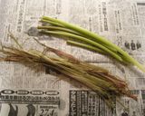 フキの煮物&肉味噌炒め&皮茶作り方3写真