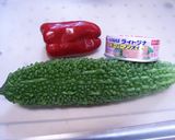 食べやすい！？我が家の定番ゴーヤサラダ♪作り方1写真