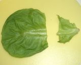 お弁当に♪サラダ菜のカップ作り方1写真