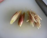 さっぱり美味しい♪ 豚肉の冷しゃぶサラダ作り方1写真
