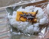 チーズ&塩こんぶおにぎり作り方1写真