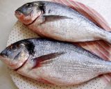主人の魚料理♪ＤＯＲＡＤＡ作り方1写真
