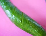 鰻の酢の物☆うざく作り方1写真
