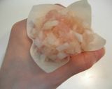 簡単ヘルシー☆鶏ささみのシュウマイ作り方7写真