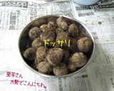 是非やってみてほしいの。【里芋の保存】作り方1写真