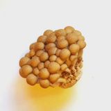 😊ご飯が進む💕簡単♪里芋としめじのツナトマト煮😊作り方1写真