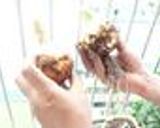 【大量消費】らっきょう酢　ＤＥ玉ねぎ漬❤作り方4写真