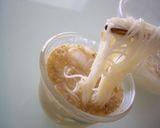 簡単冷汁そうめん作り方7写真