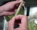 新蕗の炒め煮(下ごしらえ詳細説明付き)作り方5写真