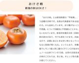柿(八珍柿/おけさ柿/庄内柿)の剥き方作り方5写真