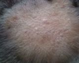 海に、山に！からあげちゃん作り方6写真