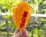 キャベツでダイエット作り方2写真