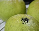 うずまき抹茶あずきパン作り方10写真