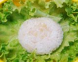 ダッフィーのとりそぼろ弁当✿キャラ弁作り方1写真