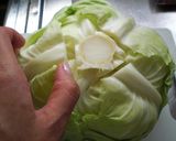 ☆トマト♡ミルク煮ロールキャベツ☆作り方1写真