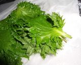 大葉の長期保存方法作り方5写真