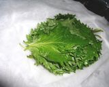 大葉の長期保存方法作り方6写真