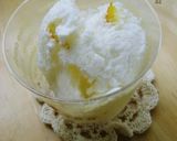 爽風~さっぱりフローズンヨーグルト作り方4写真