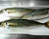 鰺の白梅酢〆作り方1写真