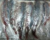 鰺の白梅酢〆作り方6写真