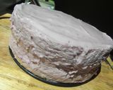 ドイツの味☆　ベリー＆レアチーズケーキ作り方14写真