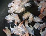 海老そうめん作り方9写真