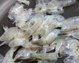 海老そうめん作り方7写真