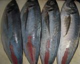 鯵の南蛮漬け作り方5写真