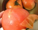 タコとズッキーニのトマト煮作り方2写真
