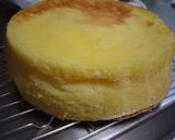 クリスマスケーキ苺ズコット(インスタ映え作り方22写真