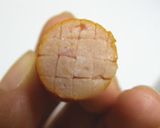 ひまわりウインナー★飾り切り（キャラ弁）作り方2写真