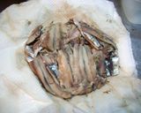 こいわしの酢漬け作り方5写真