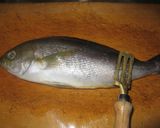 海鮮！イサキの姿造り作り方1写真