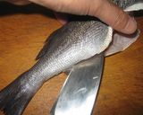 海鮮！イサキの姿造り作り方3写真