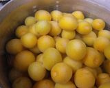 簡単あっさり美味しい！！梅ジュース☆作り方1写真