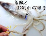 ❤❤❤いかの解体ショー♡...by food town❤❤❤作り方1写真